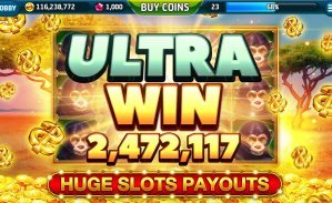 336bet